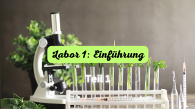 thumbnail of medium Labor 1 Teil 1