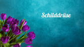 thumbnail of medium Schilddrüse