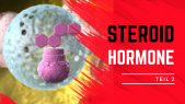 thumbnail of medium Steroidhormone 2