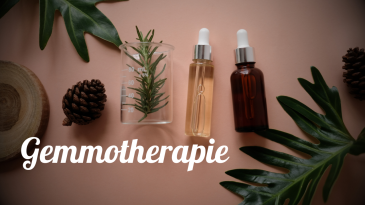 thumbnail of medium Gemmotherapie
