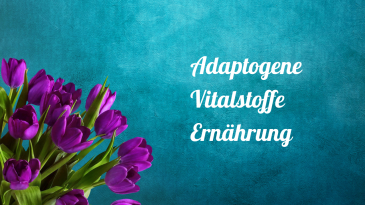 thumbnail of medium Adaptogene, Vitalstoffe, Ernährung