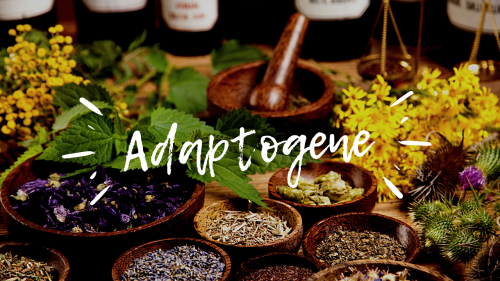 thumbnail of category 6: Adaptogene, Vitalstoffe, Ernährung