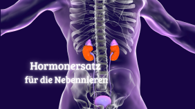 thumbnail of medium Hormonersatz für die Nebennieren